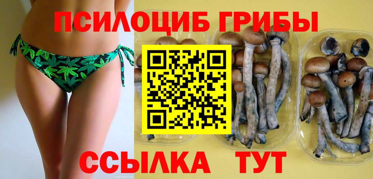 Галлюциногенные грибы MAGIC MUSHROOMS Сорочинск